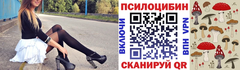 Галлюциногенные грибы мухоморы Купить закладки Кузнецк